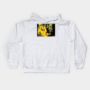 ANGRY CAT POP ART - ORANGE YELLOW BLACK Kids Hoodie